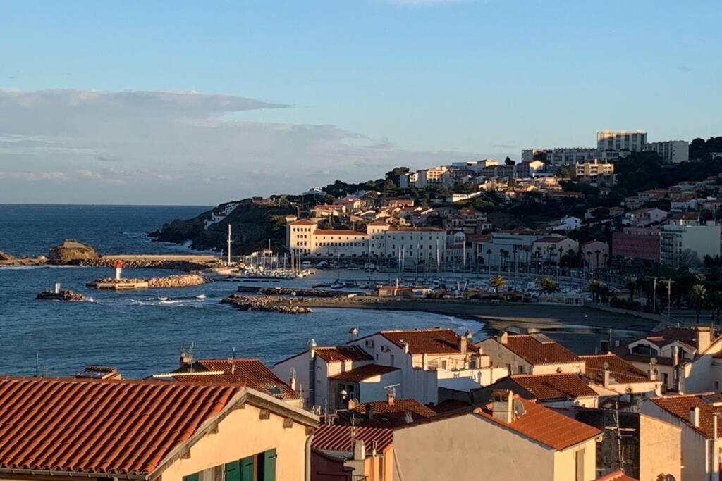 Attique A Banyuls - Vue Mer Et Montagne 外观 照片