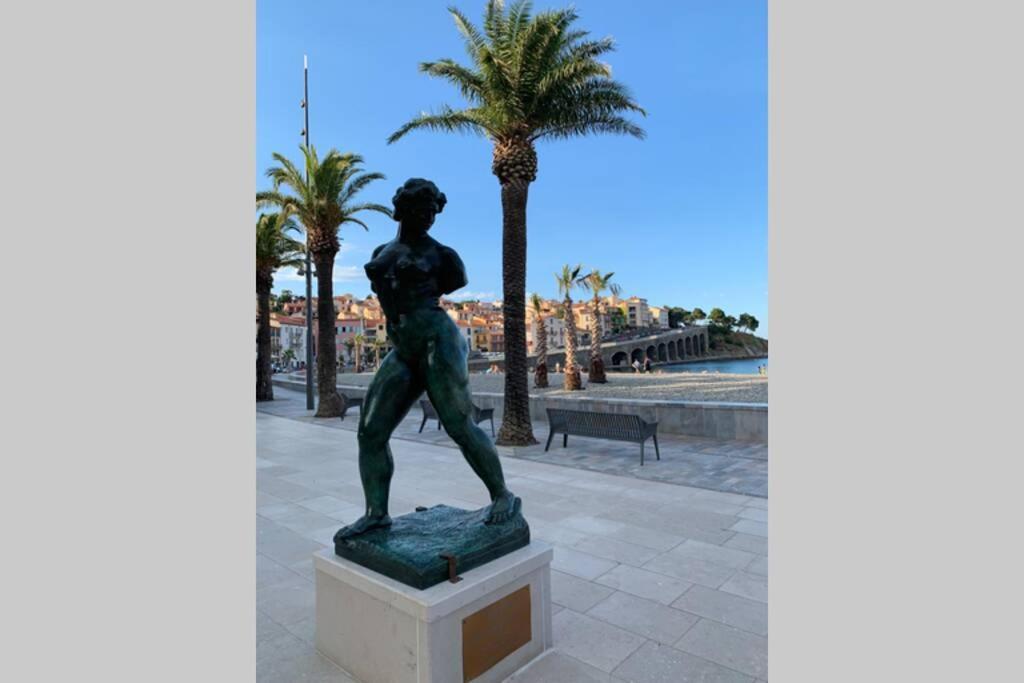 Attique A Banyuls - Vue Mer Et Montagne 外观 照片